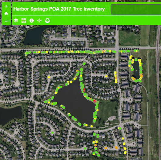 screenshot of map showing Harbor Springs tree inventory