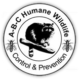 abc-wildlife-logo