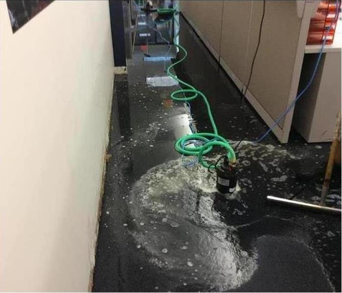 project by servpro evergreen chicago