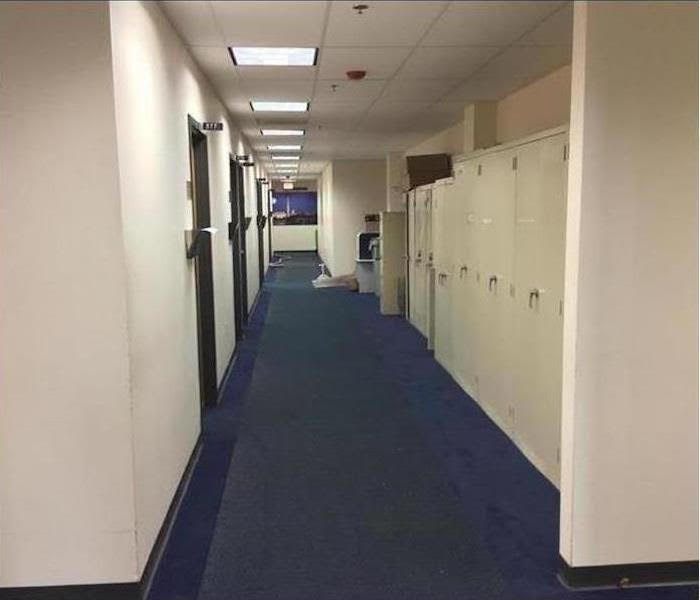 clean up by servpro evergreen chicago