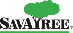 SavaTree logo