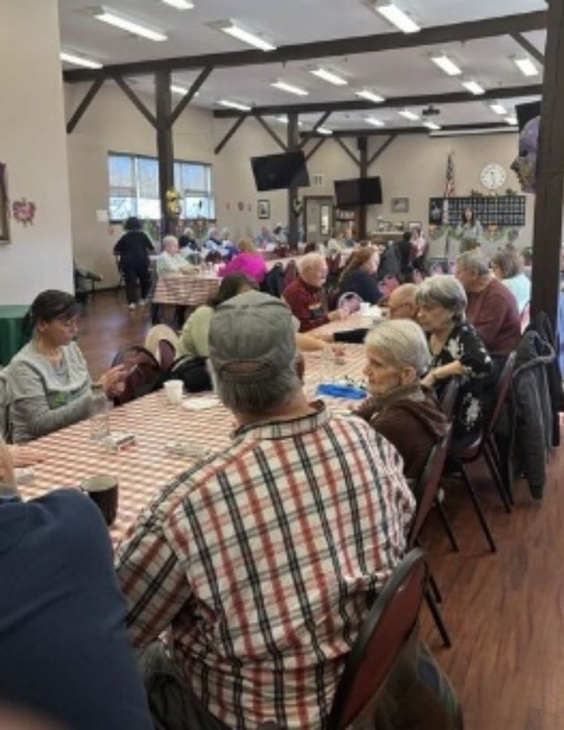 Guests at the Schaumburg Senior Luncheon